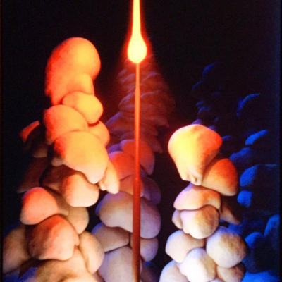 Eelco Brand Video-2014